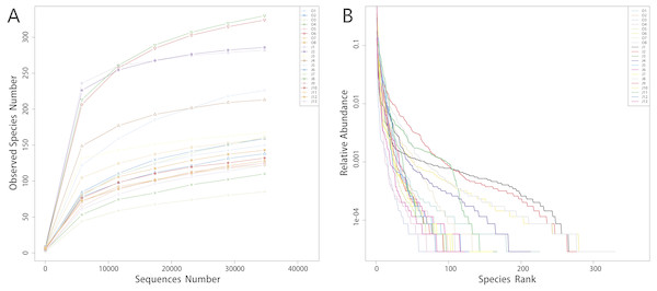 Rarefaction curves (A) and rank abundance curves (B).