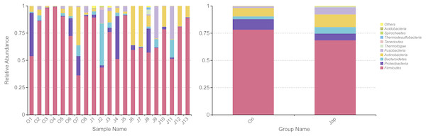 Fecal bacterial composition of Amur leopard and North Chinese leopard at the phylum level.