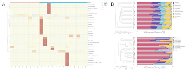 The heatmap of clustering for species richness (A) and UPGMA clustering trees with relative abuandance in phylum level (B).
