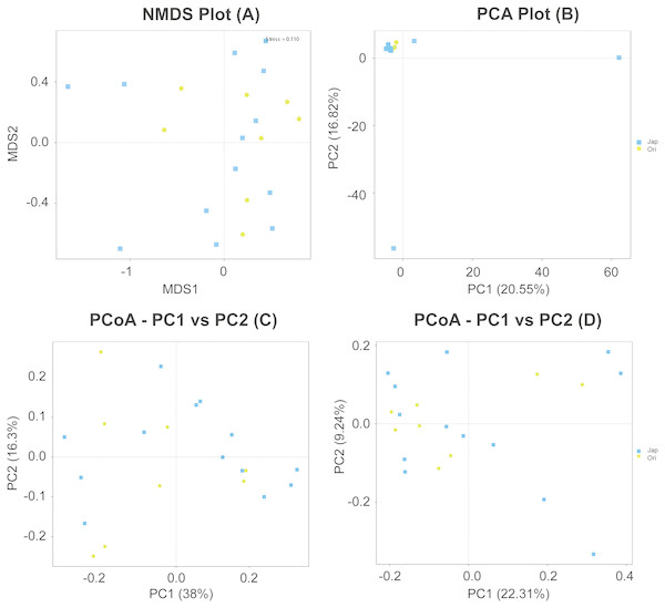 NMDS (A), PCA (B) and PCoA (C & D) of fecal bacterial community structures of Amur leopard and North Chinese leopard.