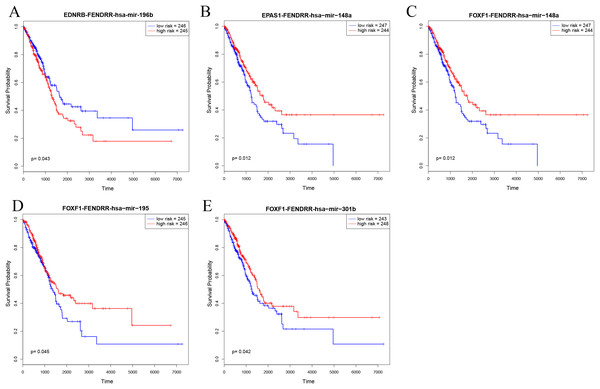 Kaplan–Meier survival curves for five ceRNA pairs associated with overall survival.