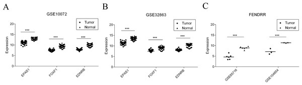 Validation of gene expression in GEO dataset.