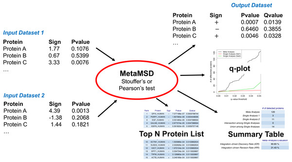 A workflow of MetaMSD.