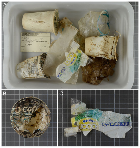 (A) Plastic debris found in the sperm whale stomach. Scale: each square measures 1 × 1 cm. (B) Drinking cup, and (C) food wrapper with origins from Indonesia.