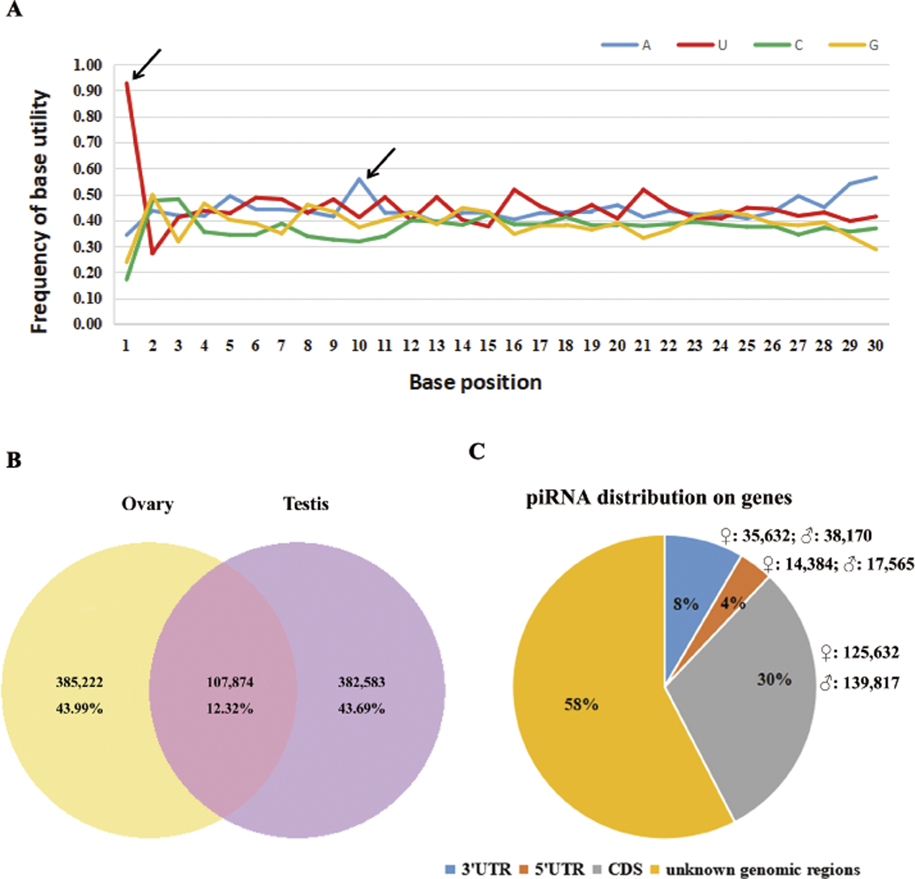 Identification And Differential Expression Of Pirnas In The Gonads Of
