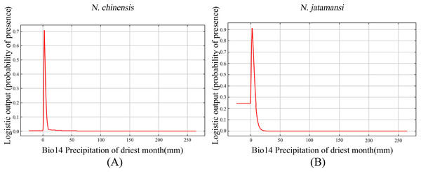 The response curves of precipitation of driest month under the current period for N. chinensis (A) and N. jatamansi (B).