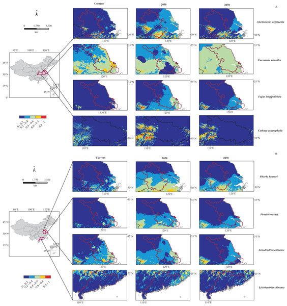 Predicted distribution of six dark species under current and future (2050, 2070) bioclimatic scenarios in potential regions.