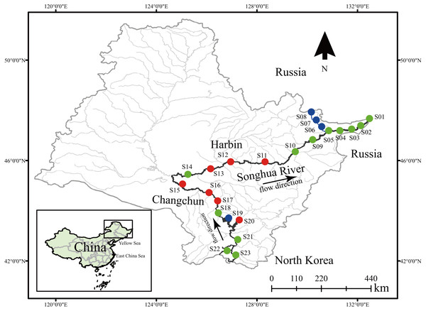Sample locations of dinoflagellate communities along the Songhua River located in Northeast China.