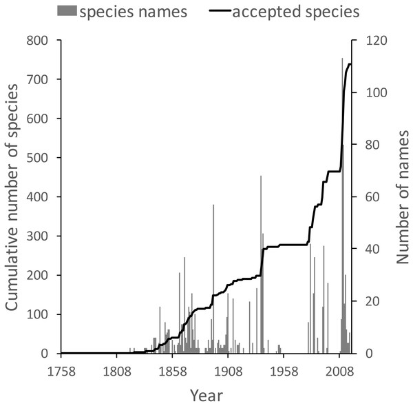 Plot of the history of species discovery for Australian snails in the family Camaenidae.