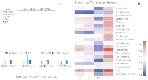 MRT of bacterial α-diversity data associated with key environmental factors (A); correlation analysis (B) based on spearman correlation of microbial community composition and soil physicochemical factors.