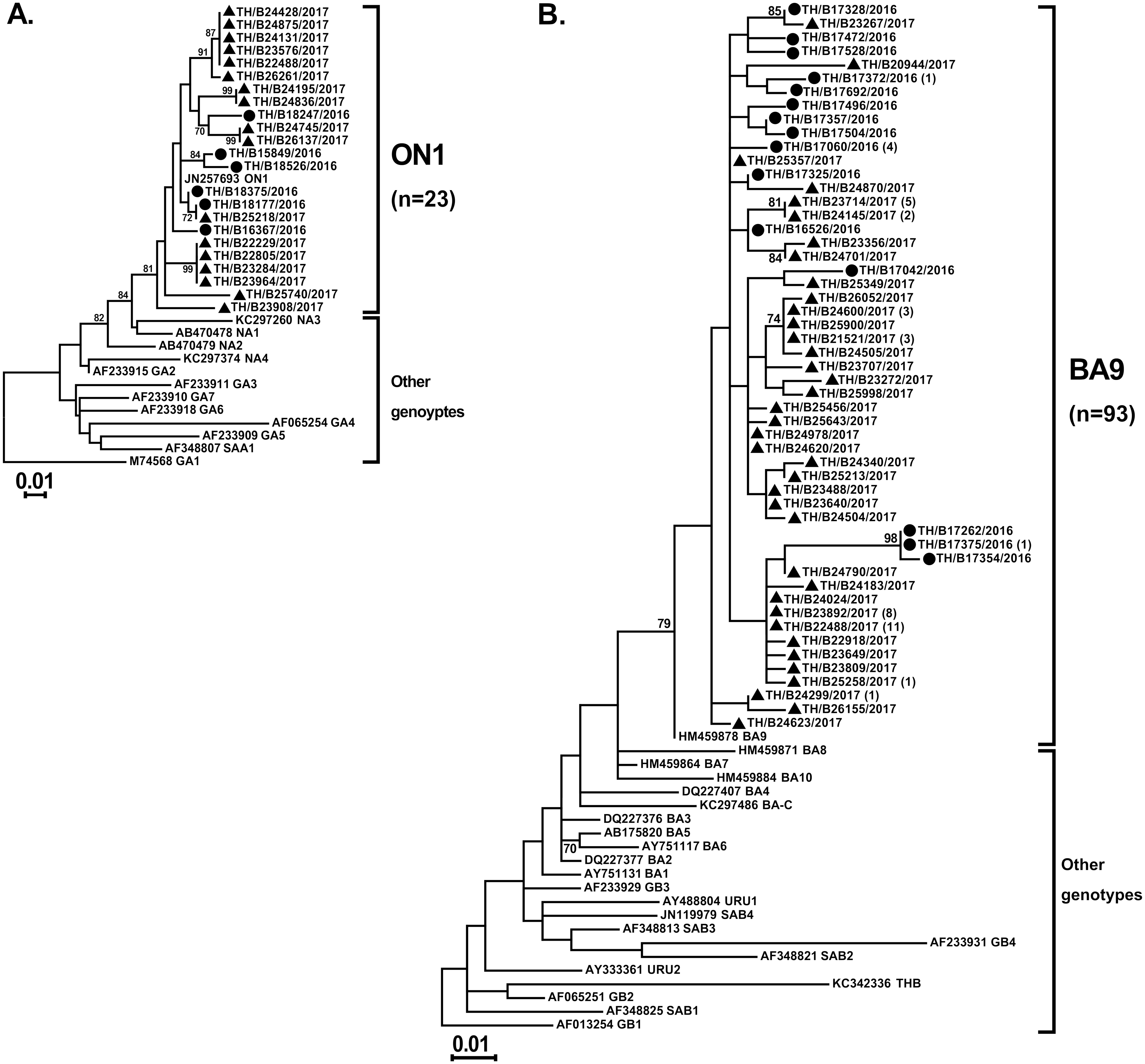 Respiratory Syncytial Virus, Human Metapneumovirus, And Influenza Virus ...