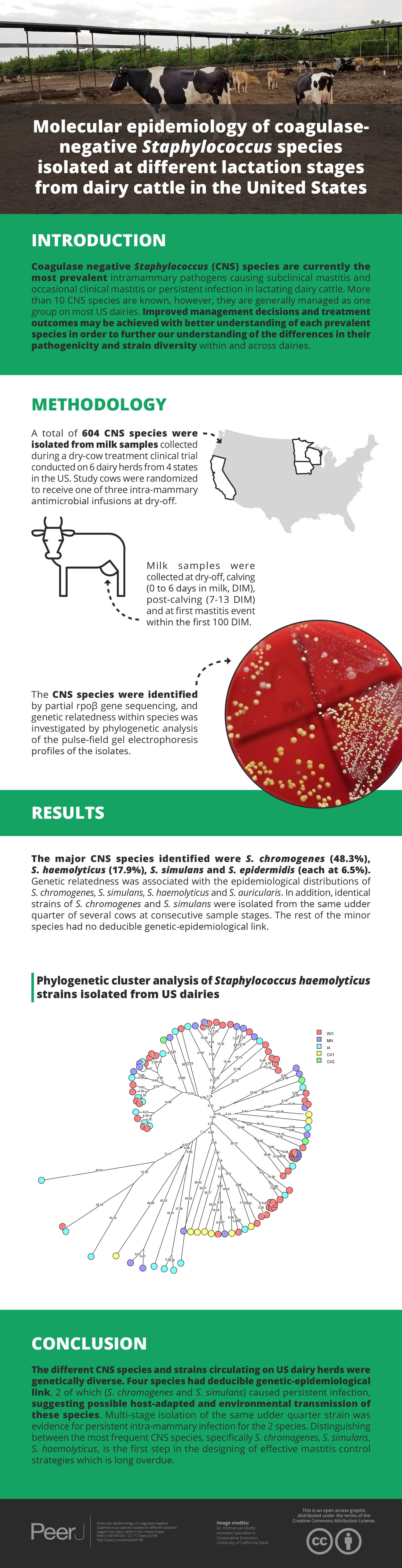 molecular-epidemiology-of-coagulase-negative-staphylococcus-species