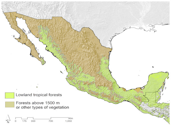 Influence of phylogenetic structure and climate gradients on ...