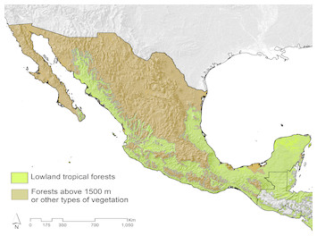 Influence Of Phylogenetic Structure And Climate Gradients On 