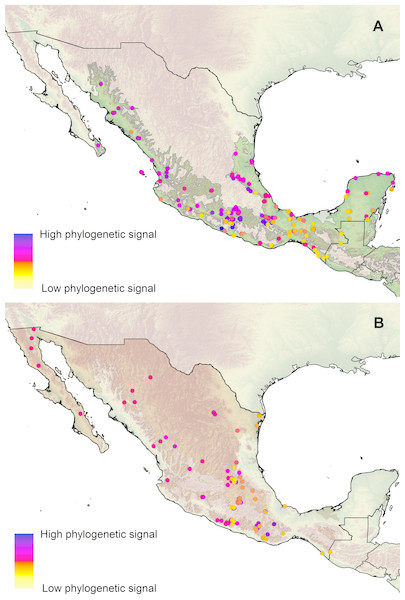 Influence of phylogenetic structure and climate gradients on ...