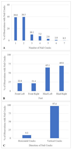 Characteristics of nail cracks of 387 observations from six times evaluation over a 15-month period.