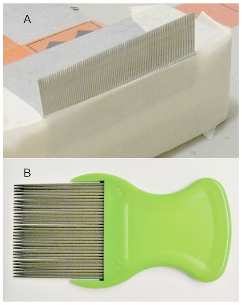 Combs used in the study.