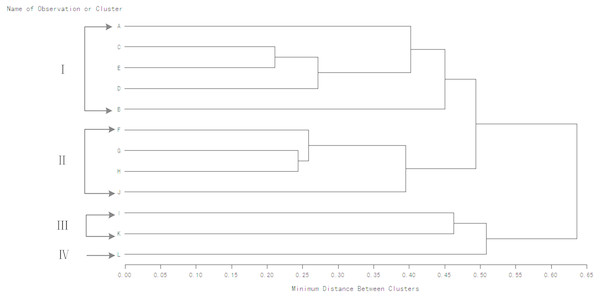 Clustering dendrogram of winter wheat genotypes based on WUE values for consecutive seasons under rain-fed condition.