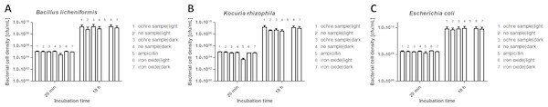 Effect of ochre (soil) (10 mg/mL) and iron oxide (water) (10 mg/mL) on the growth of Bacillus licheniformis (A), Kocuria rhizophila (B) and Escherichia coli (C) after 18 h incubation.