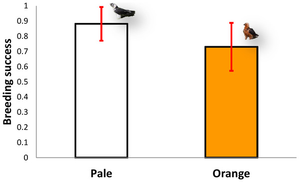 Comparison of breeding success between territories occupied by pale coloured Bearded Vultures versus orange ones.