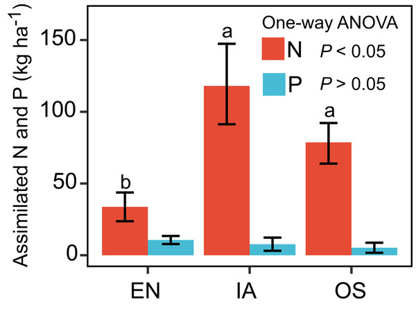 Assimilation of nitrogen and phosphorous by EN, Elodea nuttallii; IA, Ipomoea aquatica; and OS, Oryza sativa.