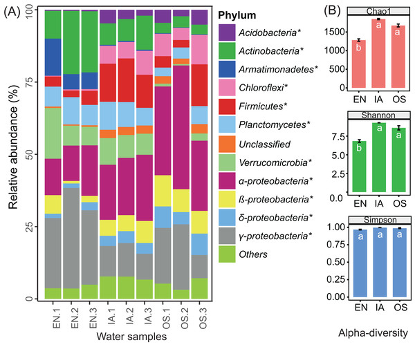 Bacterioplankton abundances and diversity indices of the three macrophytes systems.