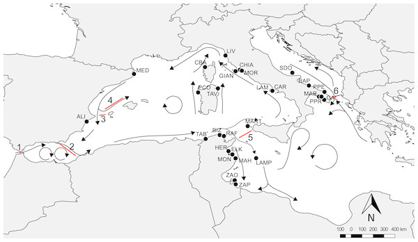 Overview of the Mediterranean Sea with reference localities.