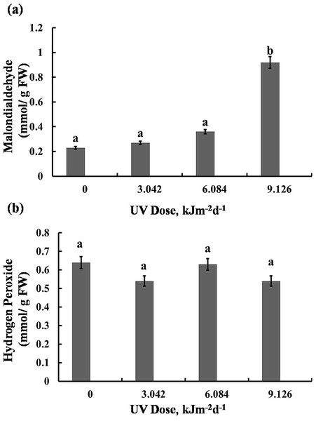 Effects of three different doses of UV-B radiation (3.042, 6.084 and 9.126 kJm−2d−1) on contents of (A) 1-malondialdehyde, and (B) hydrogen peroxide.