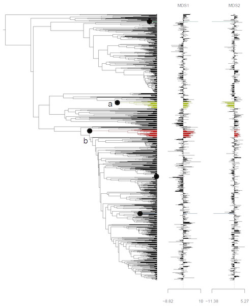 Climatic niche evolution for range shift in Himalayan taxa using Ornstein-Uhlenbeck (O-U) model.