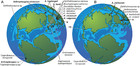 A Prevalence Of Arthropterygius (ichthyosauria: Ophthalmosauridae) In 