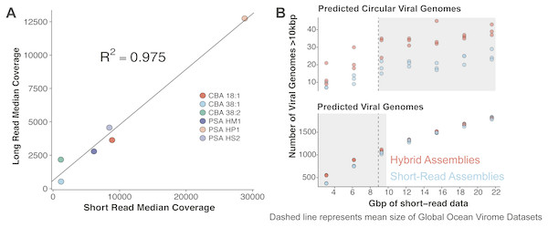 Comparative performances of short-read and long-read data for the identification of marine viral genomes.
