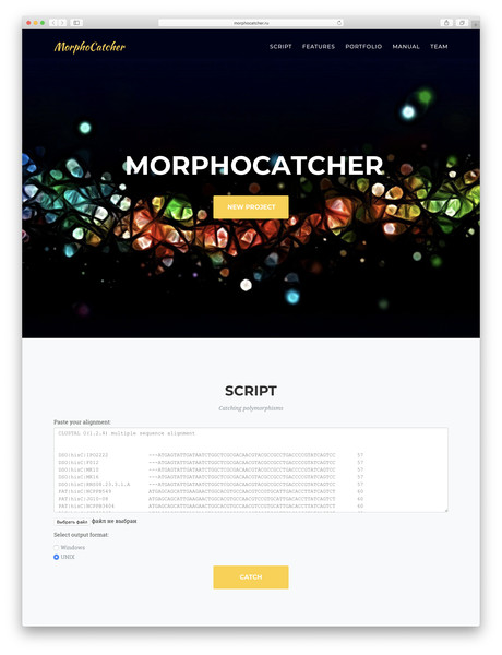 Web interface of the MorphoCatcher service with an alignment input bar and the output file format options.