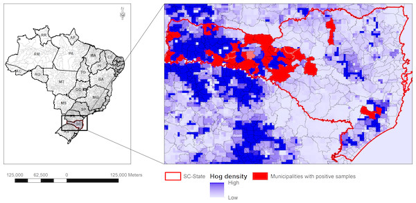 Density map of the municipalities with Glässer’s disease outbreaks in Santa Catarina (SC) States.