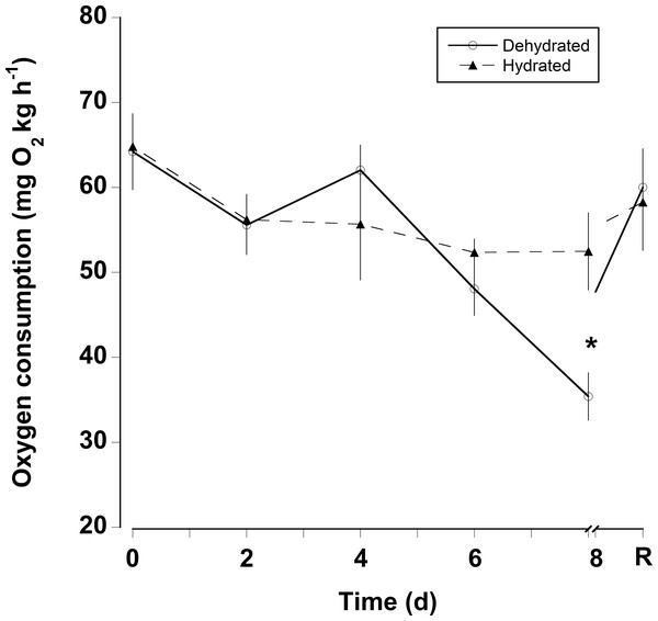 Oxygen consumption rates with dehydration.