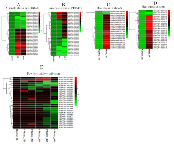 Expression profiles of HvHsp20 genes under various biotic and abiotic stresses.