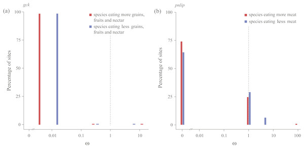 Patterns of natural selection on the carbohydrase gene gck and the lipase gene pnlip.