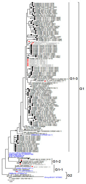 Phylogenetic analysis of the partial S gene.