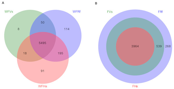 Venn diagram of shared and unique microbial functions in three bats species.