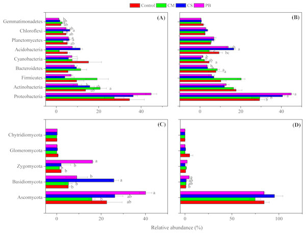 Relative abundance of the dominant microbial phyla.