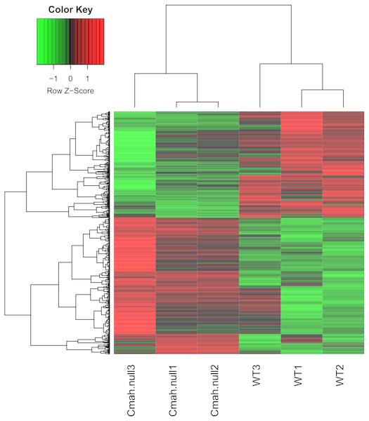 Heat map of differentially expressed genes between Cmah-null and wild-type mice.
