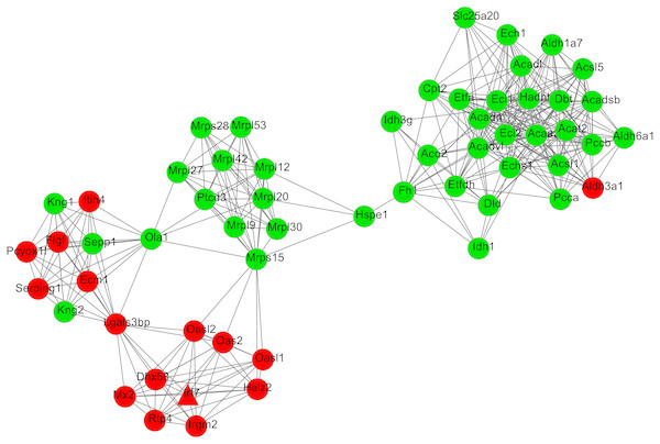 The most significant module 2 extracted from the protein–protein interaction network.