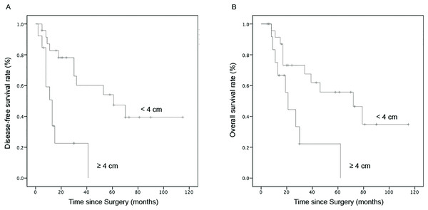 Comparison of survival curves in patients with different tumor sizes of SCCC.
