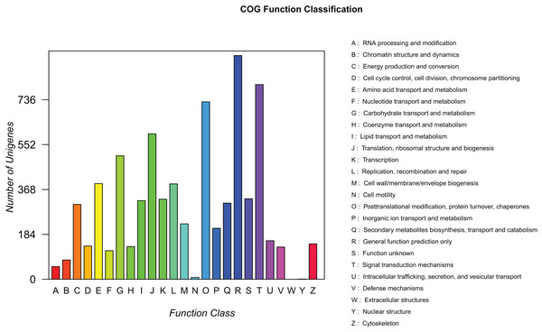 COG function classification of assembled unigenes.