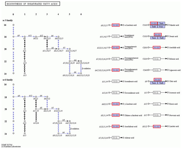The detail RNA degradation database in biosynthesis of unsaturated fatty acid pathway.
