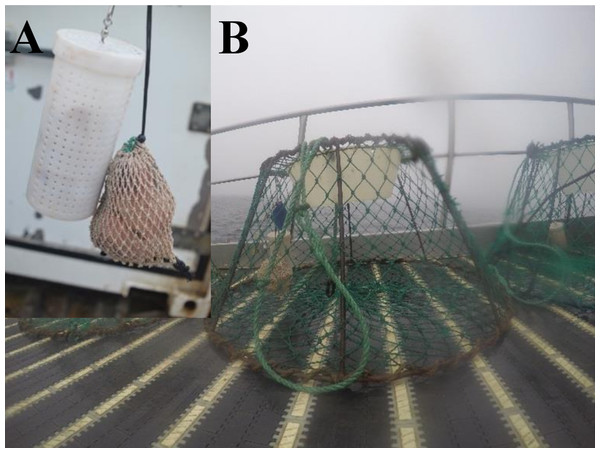 Japanese-style conical snow crab trap baited with seal fat in the mesh bag and plastic jar protection devices onboard of a Norwegian snow crab fishing vessel.