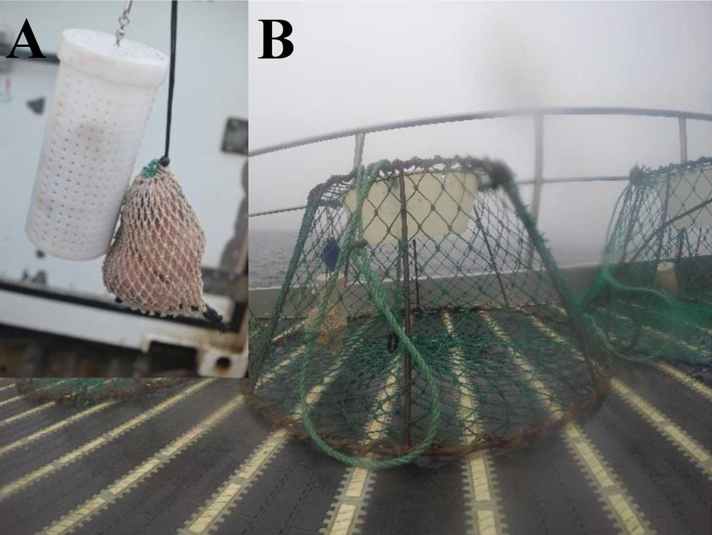 Alternative bait trials in the Barents Sea snow crab fishery [PeerJ]