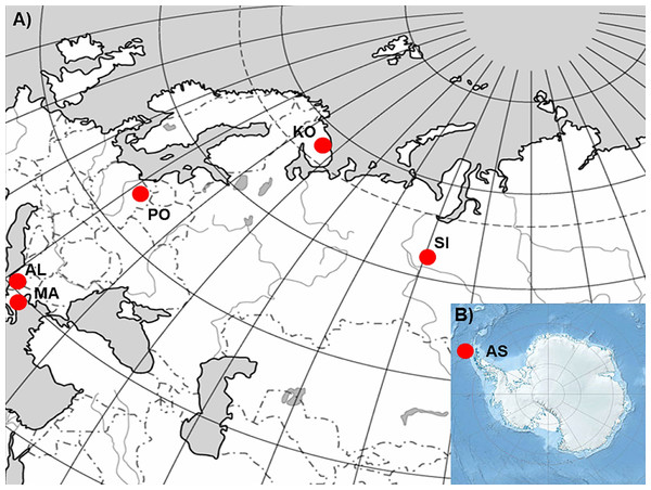 The geographic location of the studied sampling sites of Poa annua on a contour map of (A) Eurasia and (B) Antarctic.