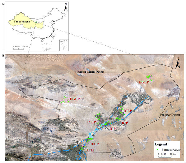Satellite map of study site at Minqin Oasis, China.