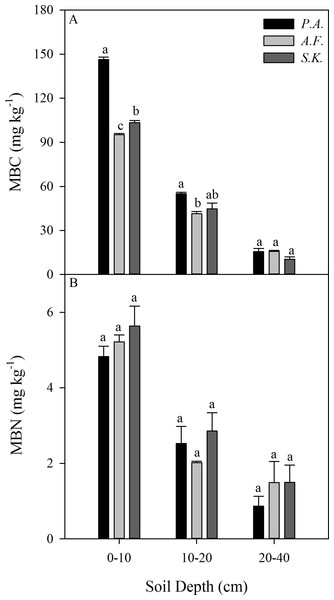 Mean microbial biomasscarbon (MBC) (A) and microbial biomass nitrogen (MBN) (B) content (g kg–1) in the 0–10, 10–20, and 20–40 cm soil layers under three different plant species in 2013.