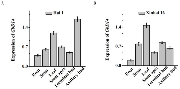 Functional Analysis Of The GbDWARF14 Gene Associated With Branching ...